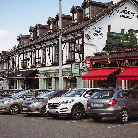Muskerry Arms Bar And B&B بلارني المظهر الخارجي الصورة